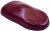Eastwood Hot Coat Maroon 0,45Kg