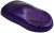 Eastwood Hot Coat Metallic Purple 454g Pulverlack