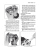 1955 Chevy Truck Shop Manual - 2nd Series