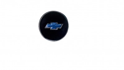 Horn cap insert for 1969 models
